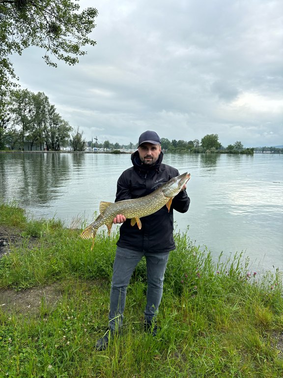 Hecht_Fischzucht_2024.jpg 