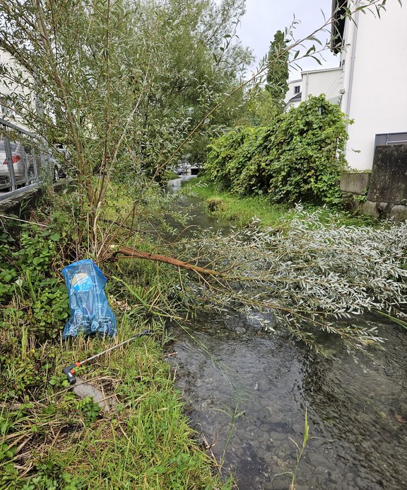 Catch_Clean_Day_2025__2_.jpg 